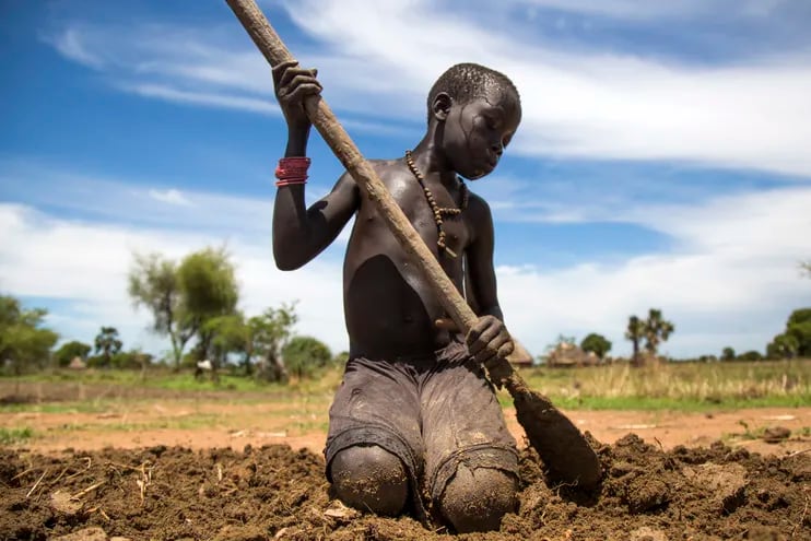 Una niña ayuda a su familia a preparar la tierra para el cultivo en Panthau, Sudán del Sur.