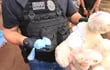 Presuntos microtaficantes escondían droga dentro de un oso de peluche.