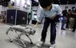 Investigadores del Consejo Superior de Investigaciones Científicas (CSIC) de Madrid han creado un perro-robot dotado de un sofisticado sistema de inteligencia artificial capaz de guiar a personas dependientes o con alguna discapacidad.