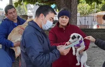 El Dr. Gabriel Díaz, verifica la tarjeta de vacunación de una perra antes de aplicar la vacuna antirrábica.