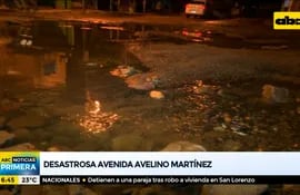 Desastrosa y abandonada avenida Avelino Martínez