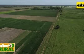 ABC Rural Programa 18: Avance de la soja en el Chaco