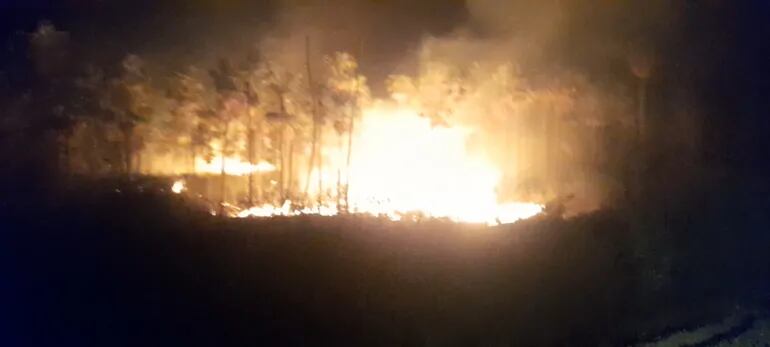 Incendio forestal en Fuerte Olimpo.
