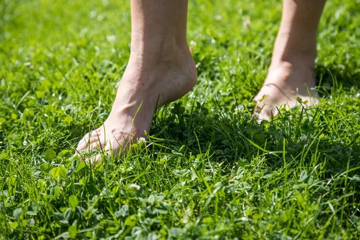 El césped es una base ideal para los primeros pasos con los pies descalzos.