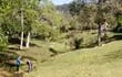 los-miembros-de-la-comunidad-sonidos-de-la-tierra-de-pirayu-plantaron-dos-mil-arbolitos-alrededor-del-arroyo--00354000000-1743030.jpg