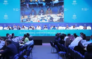Imagen de la  13° Conferencia Ministerial de la Organización Mundial del Comercio (OMC), que se desarrolló del  26 de febrero al 1 de este mes, en Abu Dhabi.