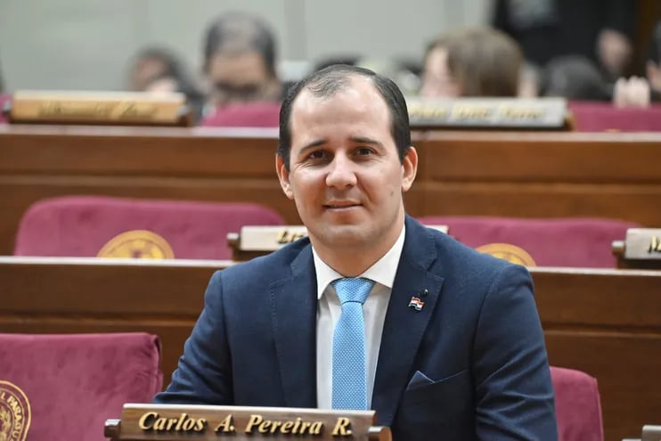 El diputado liberal Carlos A. Pereira pidió que se auditen las deudas del Estado.