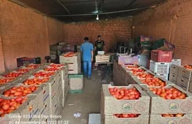 Cajas de tomate certificadas como nacional por el Senave, en zona de producción.