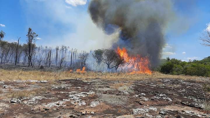 Imagen de incendio forestal en Cordillera.