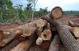 deforestacion-gana-la-batalla-a-la-seam-muchos-parques-nacionales-patrimonio-cultural-estan-sin-proteccion--214046000000-1465413.jpg