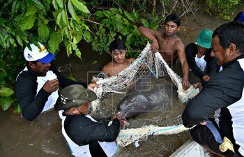 La pesca pone en peligro la biodiversidad (Imagen de archivo).