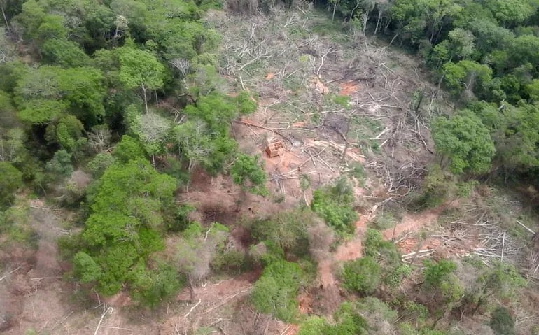 La reserva Campos Morombi ya era asediada por deforestadores.