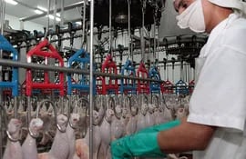 La exportación de carne de pollo ingresó unos US$ 12,8 millones durante el 2023.