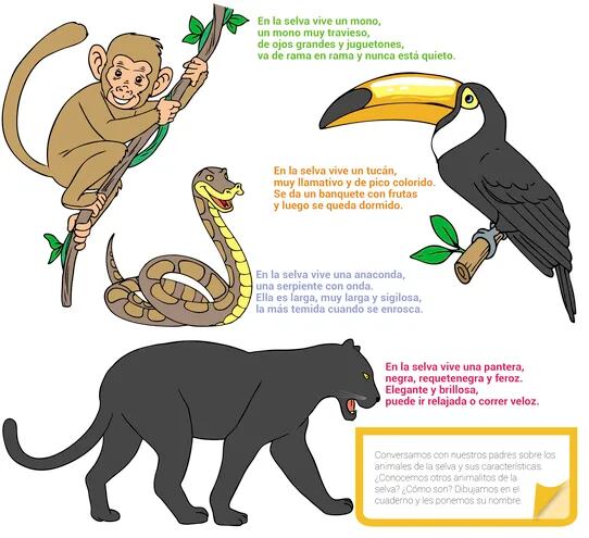 Animales de la selva - Escolar - ABC Color