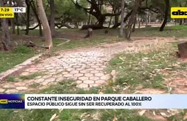 Video: Constante inseguridad en Parque Caballero