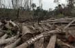 deforestacion-105259000000-1562003.jpg