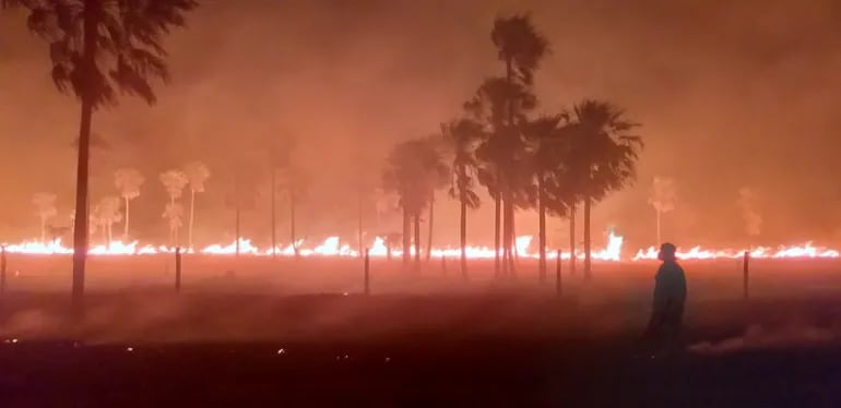 Incendio forestal en Benjamín Aceval.