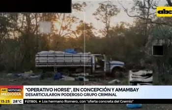 "Operativo Horse", en Concepción y Amambay
