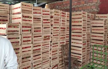 Las cajas de tomate estaban apiladas en una vivienda cuyos propietarios aún no fueron identificados.