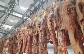 Carne paraguaya ingresará al mercado norteamericano en diciembre.