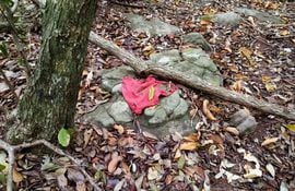 Tela hallada en zona boscosa donde supuestamente desapareció Juliette.