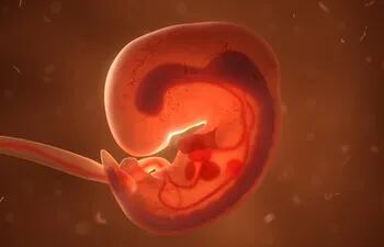 Seis días después de que la Suprema Corte de Alabama dictaminara que los embriones congelados son niños, las clínicas de fertilidad del estado se encuentran analizando las implicaciones legales para los médicos de una polémica decisión que podría tener consecuencias impredecibles.