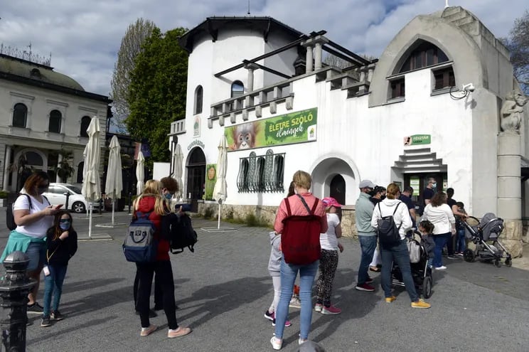 Visitantes aguardan entrar al zoo de Budapest Zoo, in Budapest, Hungary, , en Hungría, donde las restricciones contra el coronavirus aflojan para quienes cuentan con un certificado de vacunación.