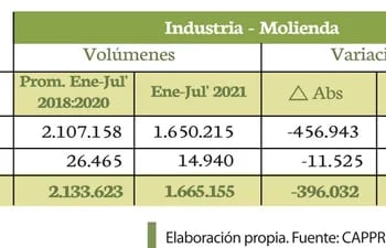 Infografía de la molienda de soja y otros granos hasta el cierre de julio, comparado con el periodo anterior.