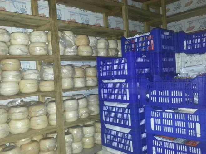 Aumentó el ingreso de queso de contrabando desde Argentina, según indicaron desde la industria láctea. (Imagen de referencia).