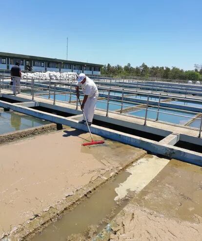 Un funcionario de la planta de tratamiento  en Viñas Cue procede a limpiar las tomas de agua que fueron invadidas por el lodo.