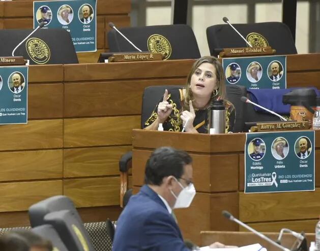 Kattya González, en una sesión en Cámara Baja donde se debatió el uso de los fondos sociales de las binacionales.