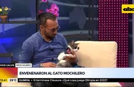Envenenan y matan al "Gato Mochilero"