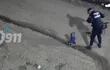 Córdoba: un bebé que estaba gateando en la calle en plena madrugada
