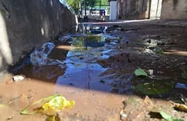 Caño roto en la vereda de la calle Gondra casi Tacuary, en el barrio Ricardo Brugada. La pérdida de litros de agua potable se da desde hace meses, según vecinos.