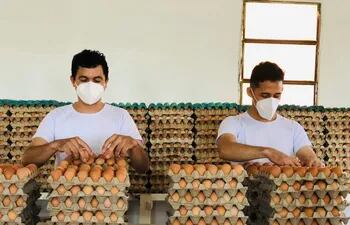 Contrabando de huevo afecta a la producción nacional.