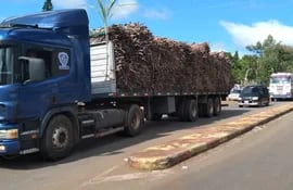 Caravana de cañicultores dificulta tráfico en Coronel Oviedo.