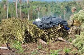 Un agente antinarcótico prende fuego a plantas de marihuana recientemente cosechada en un campamento de Yby Pytã, Canindeyú