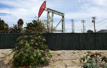 Extractor de petróleo en Ventura, California.  (AFP)
