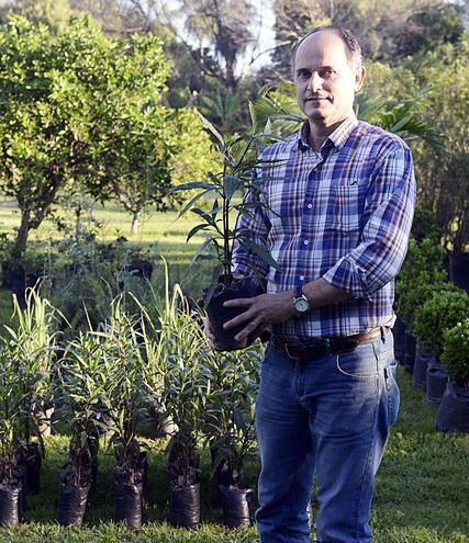 El césped del jardín - Casa y Jardín - ABC Color