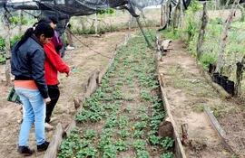 mujeres-rurales-con-proyecto-de-cultivo-de-plantas-diversas--215447000000-1640371.jpg