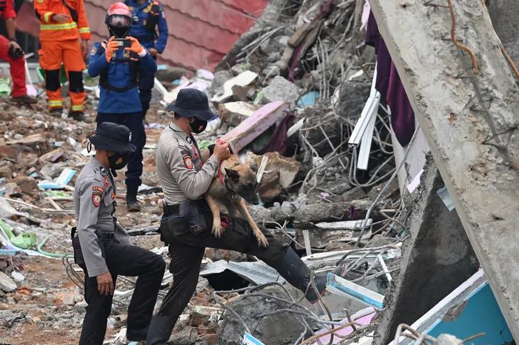 Policías con un perro de rescate buscan sobrevivientes entre los escombros en Mamuju, Indonesia.