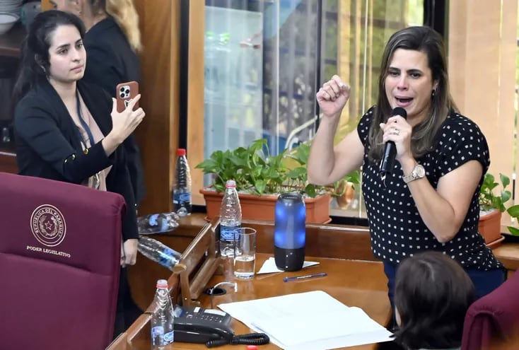 Imagen de la sesión ordinaria de la Cámara de Senadores durante la pérdida de investidura a Kattya González.