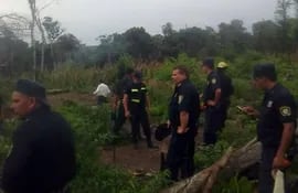 un-grupo-de-policias-destruye-el-cultivo-de-marihuana-que-fue-detectado-a-unos-45-kilometros-de-ybycui--201124000000-1064087.jpg
