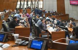 Diputados aprobaron conformar una comisión para analizar el pedido de intervención de la Gobernación del Guairá.