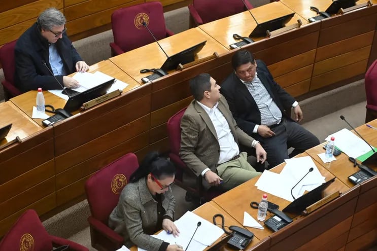 Senadores opositores presentes en la declaración de Erico Galeano.