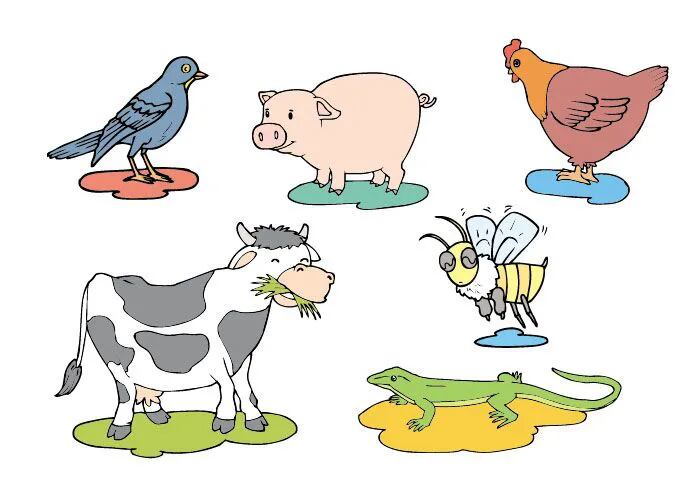 animales ovíparos con nombres