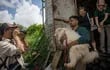 Miembros del equipo de rescate de Humane Society International rescatan perros de un matadero en Indonesia.