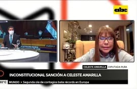 Diputada Celeste Amarilla pedirá acción de inconstitucionalidad