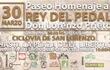 rey-del-pedal-95555000000-1063374.jpg