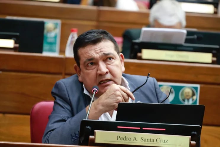 Pedro Santa Cruz (Foto Prensa Senado)